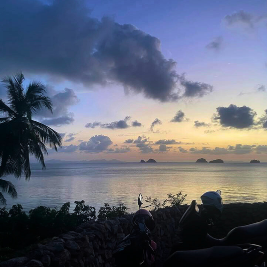 Zerjoe369 - Endorphin (Single)