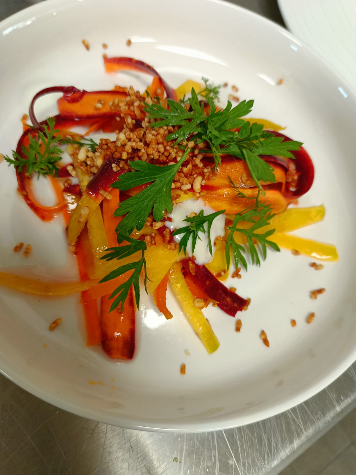 Divine Light Essence:  Biohacking Private Chef Dining 👨‍🍳