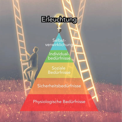 Das Kron Enlightenment Reality Upgrade 👽