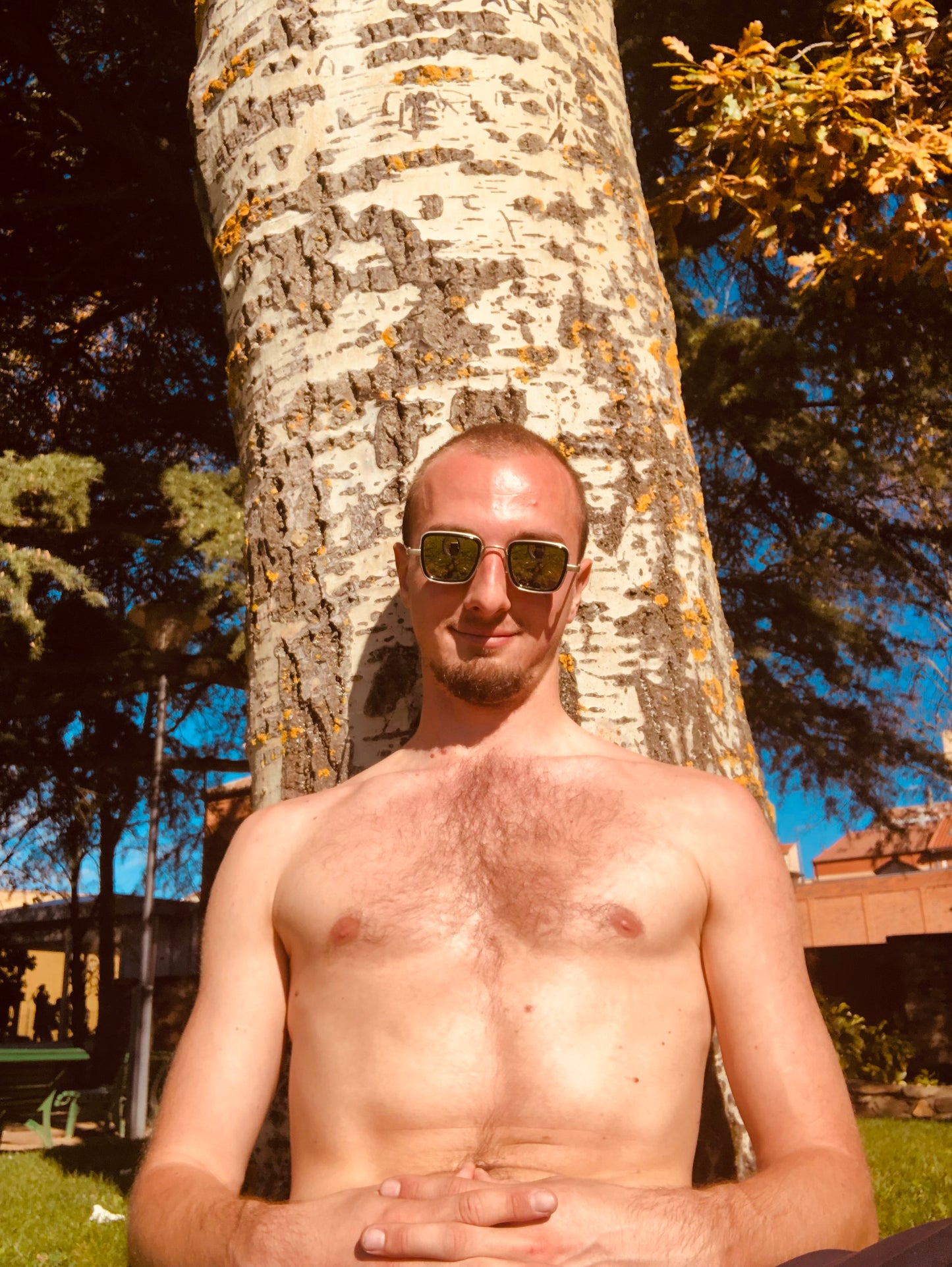 Das Kron Enlightenment Reality Upgrade 👽